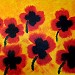 Roter Mohn
