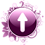 Button Pfeil oben